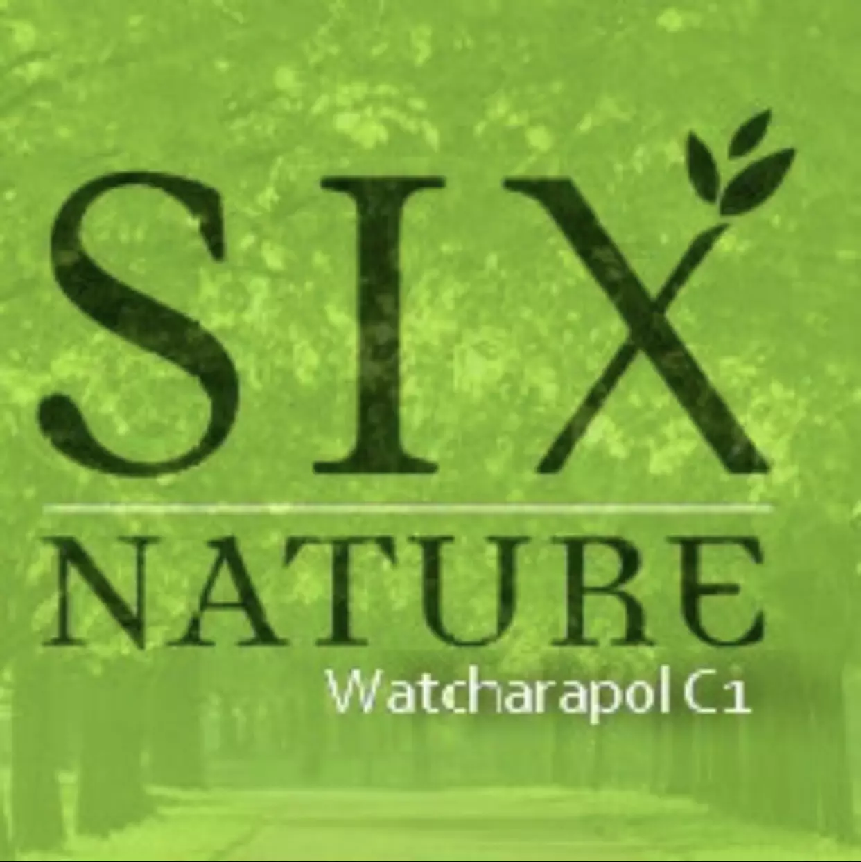 six-nature-watcharapol